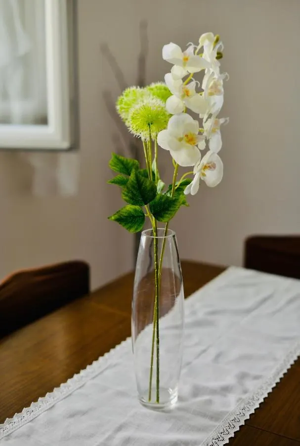 Apartment Niksa Novigrad  Novigrad (Dalmatia)
