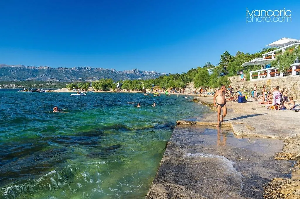 Apartment Niksa Novigrad  Novigrad (Dalmatia)